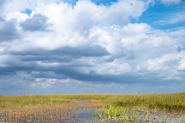Florida Everglades otlaklarının üzerindeki bulutlu gökyüzü. Yüksek kalite fotoğraf