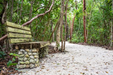 Florida, Islamorada 'daki Windley Key Fossil Resifi Eyalet Parkı' nda park bankında. Yüksek kalite fotoğraf