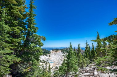 Lassen Volkanik Ulusal Parkı 'ndaki Bumpass Cehennem Hidrotermal Bölgesi, Kaliforniya, ABD. Yüksek kalite fotoğraf