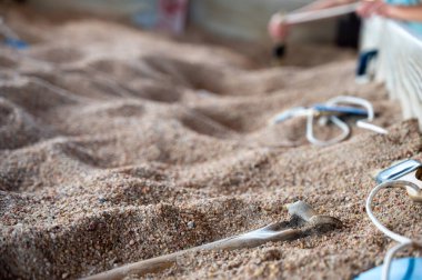 Çocuk dinozor fosil kazısı sergisinde kumu temizliyor. - Evet. Yüksek kalite fotoğraf