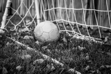 Selective focus on grass area in front of soccer ball and practice net in a fenced in backyard . High quality photo clipart