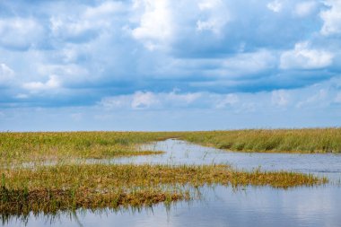 Florida Everglades otlaklarının üzerindeki bulutlu gökyüzü. Yüksek kalite fotoğraf