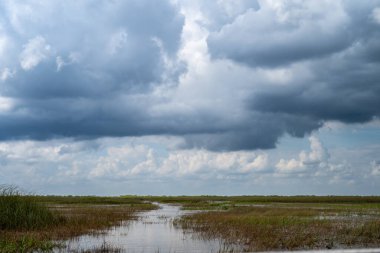 Florida Everglades otlaklarının üzerindeki bulutlu gökyüzü. Yüksek kalite fotoğraf