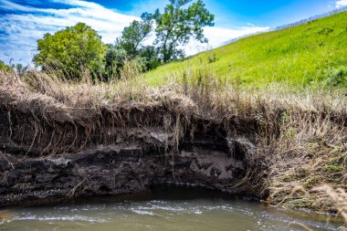 Bir dereye düşen toprak erozyonu su kenarında açığa çıkan kökleri ve kiri gösteriyor. Yüksek kalite fotoğraf