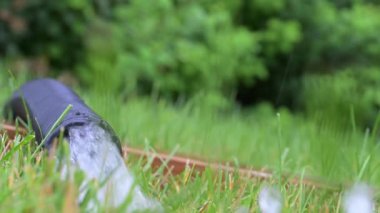 Slow Motion Video 'da su boşaltma borusundan ses çıkmadı. - Evet. Yüksek kaliteli FullHD görüntüler