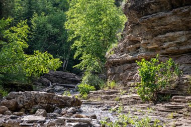 Güney Dakota Spearfish Kanyonu 'ndaki Devils Küvet Şelalesi' ne giden dere yatağı boyunca kaya duvarları ve uçurumlar. Yüksek kalite fotoğraf