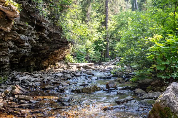 Güney Dakota Spearfish Kanyonu 'ndaki Devils Küvet Şelalesi' ne giden dere yatağı boyunca kaya duvarları ve uçurumlar. Yüksek kalite fotoğraf