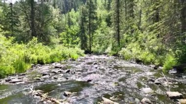 Güney Dakota 'nın Kara Tepeleri' ndeki Sheridan Gölü 'nden geçen Spring Creek üzerindeki tahta köprüden geçen çocuk ayakkabılarına odaklanın. Yüksek kalite fotoğraf