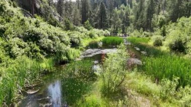 Güney Dakota 'nın Black Hills bölgesindeki Sheridan Gölü' nden Spring Creek geçidi boyunca insansız hava aracı görüntüsü. Yüksek kaliteli FullHD görüntüler