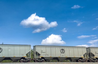 Banff, Alberta - 8.13.2024 Kanada Pasifik tren vagonları bir pistte ilerliyor. Yüksek kalite fotoğraf