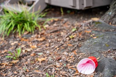Üniversite partisinden sonra ezilmiş ve atılmış kırmızı plastik bardaklar. Yüksek kalite fotoğraf