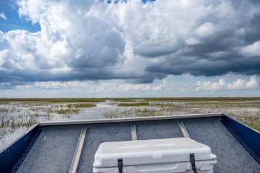 Florida 'nın bataklıklarında arka planda çimen ve bataklık olan bir bataklık teknesinin önünü görün. Yüksek kalite fotoğraf