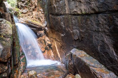 Franconia Notch State Park 'taki Flume Vadisi' nde çağlayan şelale. Yüksek kalite fotoğraf