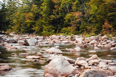 Kancamagus Karayolu 'ndaki White Mountain Ulusal Ormanı' ndaki Swift Nehri 'nin kayalık bölümü. Yüksek kalite fotoğraf