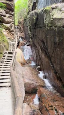 Franconia Notch State Park, New Hampshire 'daki Flume Vadisi' nde ahşap yol ve patika. Yüksek kalite 4k görüntü