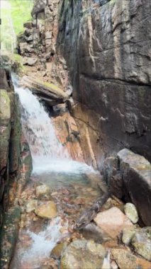Franconia Notch State Park, New Hampshire 'daki Flume Vadisi' nde yavaş çekim şelalesi. Yüksek kalite 4k görüntü