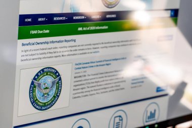 Sioux Falls, Güney Dakota, ABD - 1.28.2025: Mali Suçlar Uygulama Ağı web sayfasına seçici odaklanma. Yüksek kalite fotoğraf