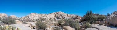 Joshua Tree Ulusal Parkı 'nın açık gökyüzü ve kayalık zeminli manzarası. Yüksek kalite fotoğraf