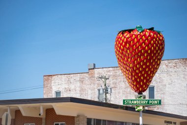 Strawberry Point, Iowa, ABD - 5.8.2025: Ana caddede bir direğe büyük böğürtlen monte edildi. Yüksek kalite fotoğraf