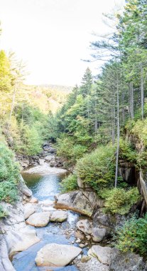 Pemigewasset Nehri New Hampshires Franconia Notch State Park 'taki Sentinel Pine Köprüsü' nün içinden görüldü. Yüksek kalite fotoğraf