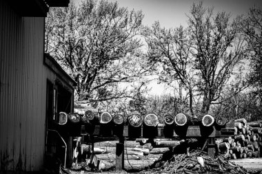 Kereste atölyesinde, bir paten kayışında, kaba kesilmiş kereste kütükleri. Yüksek kalite fotoğraf