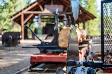 Collier Memorial State Park Kütük Müzesi 'ndeki dairesel testere bıçağı endüstriyel ekipmanına odaklan. Yüksek kalite fotoğraf