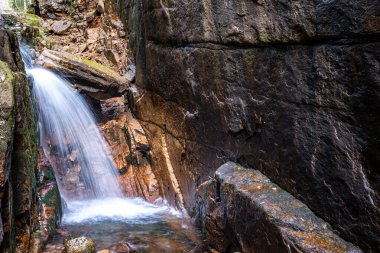 Franconia Notch State Park 'taki Flume Vadisi' nde çağlayan şelale. Yüksek kalite fotoğraf