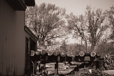 Güneş ışığı, yıpranmış bir binanın yanına düzgünce istiflenmiş kereste kütükleri koleksiyonu üzerine parlıyor. Yeşil ağaçlar doğal bir zemin oluşturarak huzur ortamını güçlendirir..