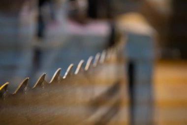 Görüntü, bir endüstriyel atölyedeki keskin testerenin dişlerini ve işçiliğini gösteren yakın plan bir görüntüsünü vurguluyor. Cihazlar yakınlarda dizilmiş, odaklanmış bir atmosfer yaratıyorlar..