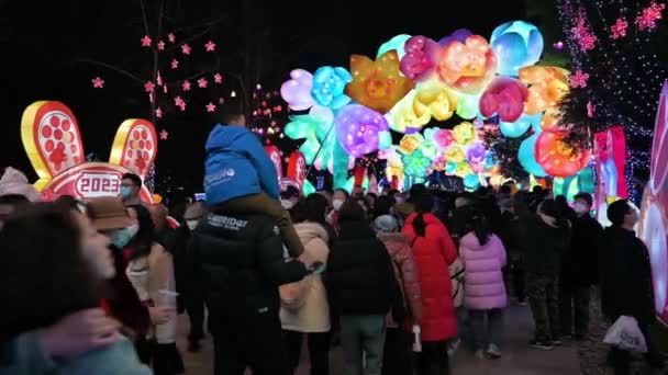 Chengdu Sichuan Province China Jan 2023 People Enjoying Lantern Festival — Stok video
