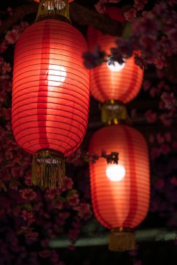Kızıl Çin fenerleri, arka planda çiçek açan bir festival sahnesini aydınlatır..