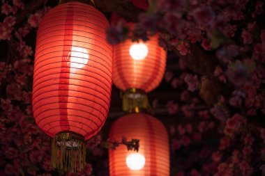 Kızıl Çin fenerleri, arka planda çiçek açan bir festival sahnesini aydınlatır..