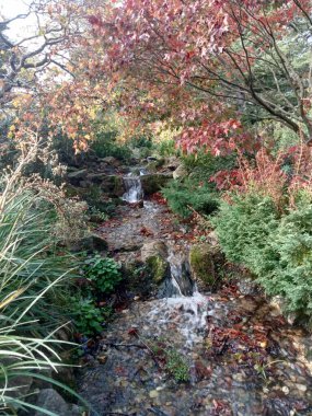 Ağaçların yaşamı 