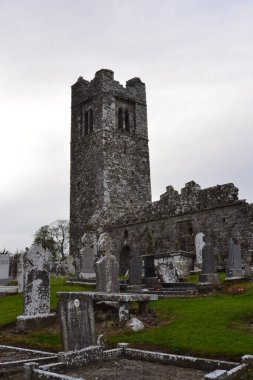 İrlanda toprakları