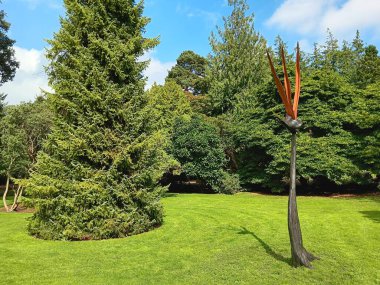 yaratmak ve yapmak için 