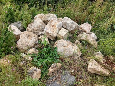 Kayaların nesi var?