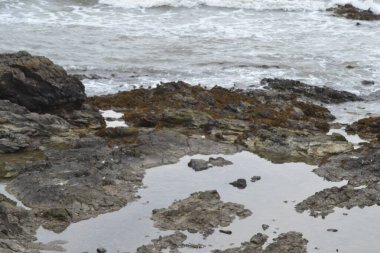 Doğanın dünyası.