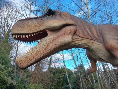 Dinozorların zamanı