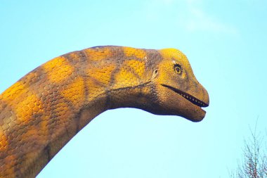 Dinozorların zamanı