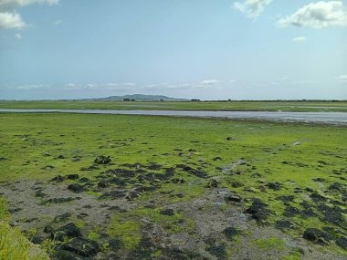 görülecek farklı yerler