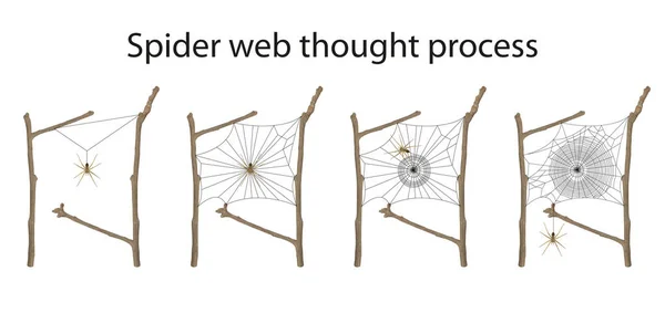 クモの巣思考プロセス図 — ストック写真