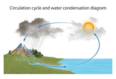 Dolaşım döngüsü ve su yoğunlaşma diyagramı