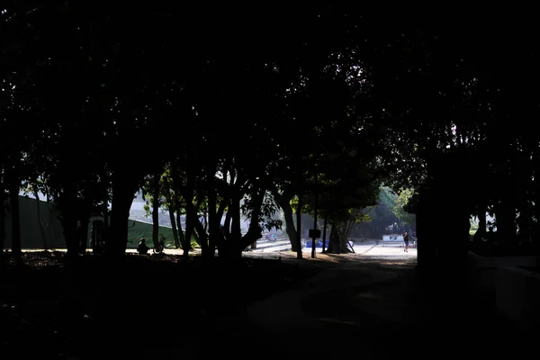 印度尼西亚西爪哇万隆 2022年7月31日 提加达万隆的晨景城市公园 有树木轮廓 落叶在路上 人们在活动 — 图库照片