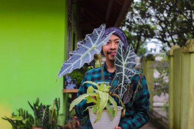 Young Asian man in beanie hat and flannel shirt holding Alocasia plant on white pot in the backyard.