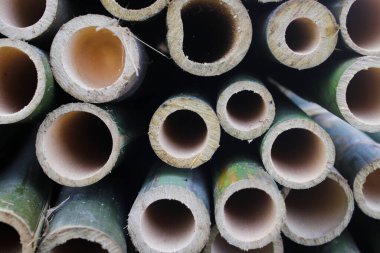 Endonezya geleneksel sera çatısı ve direk malzemesi için bambu kütükleri yığını.