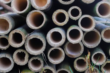 Endonezya geleneksel sera çatısı ve direk malzemesi için bambu kütükleri yığını.