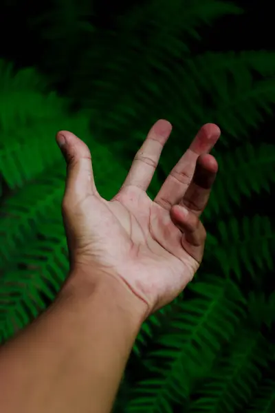 Ręka Rozmytymi Liśćmi Paproci Lesie Deszczowym Indonezji — Zdjęcie stockowe