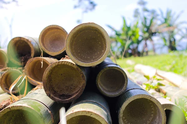 Stack Bambu Stjälkar För Indonesien Traditionella Växthus Tak Och Stolpe — Stockfoto
