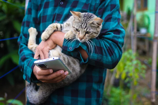 an Asian man with flannel shirt holding a curious stray cat while looking at his phone.