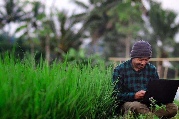 Indonesian young man with beanie hat and green flannel shirt working Remotely at the middle of Rice Fields.